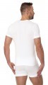 Koszulka Brubeck T-Shirt SS00990A-20504